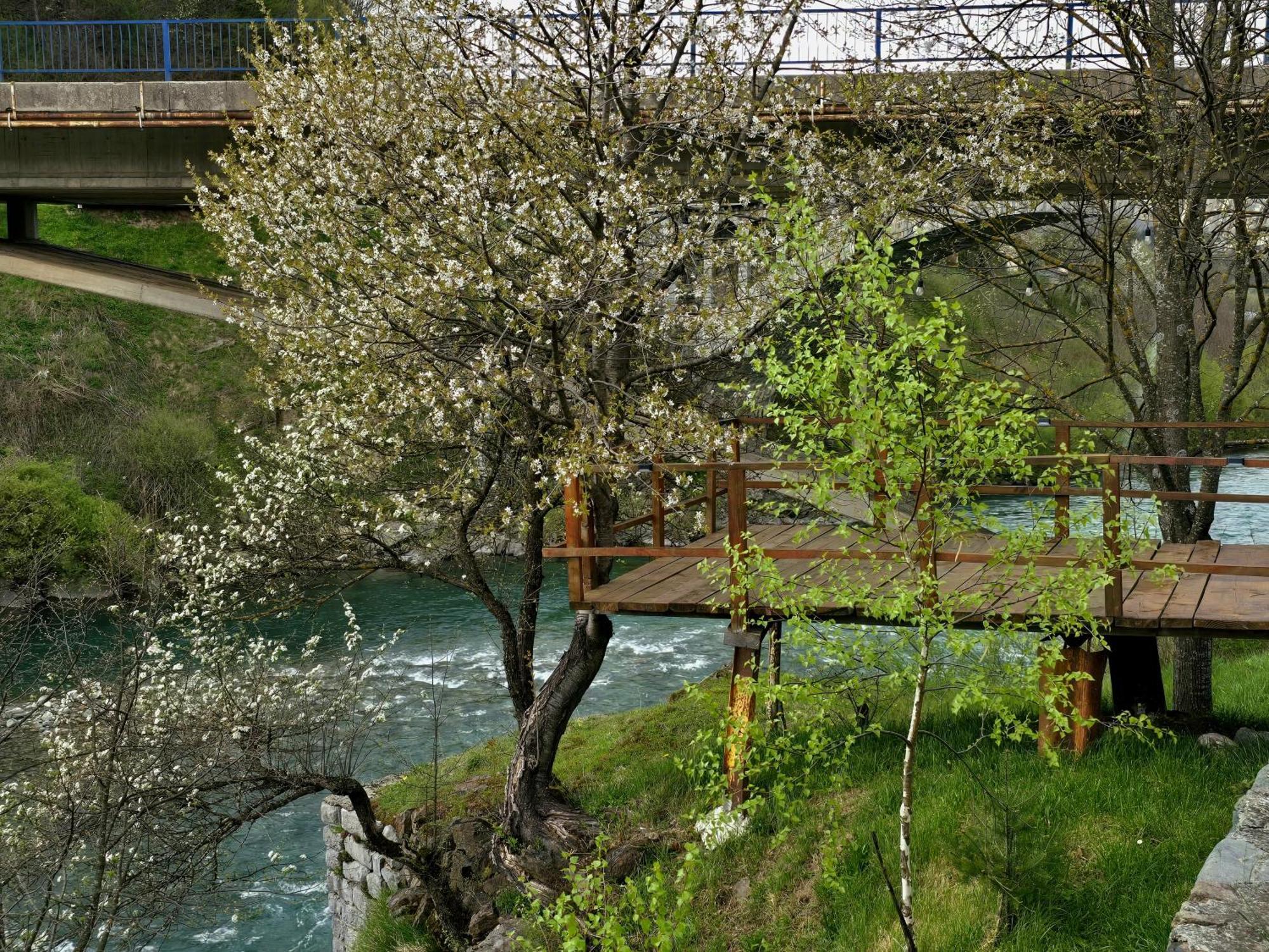 Tara Riverside Мойковац Екстериор снимка